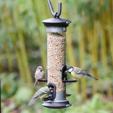 Starter-Set mit Saaten-Futtersäule Apollo und passendem Futter