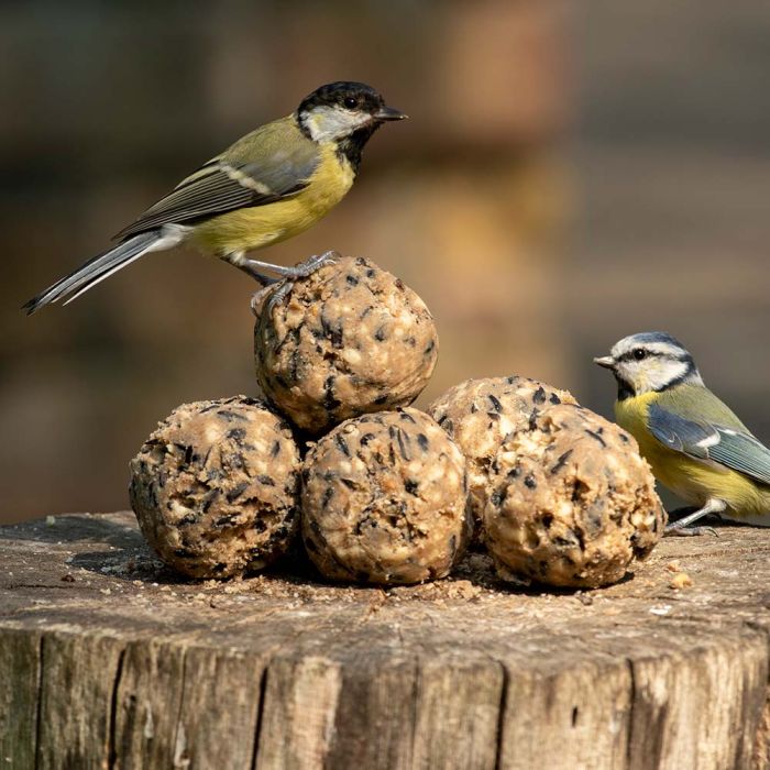 Premium-Meisenknödel, 6 Stück